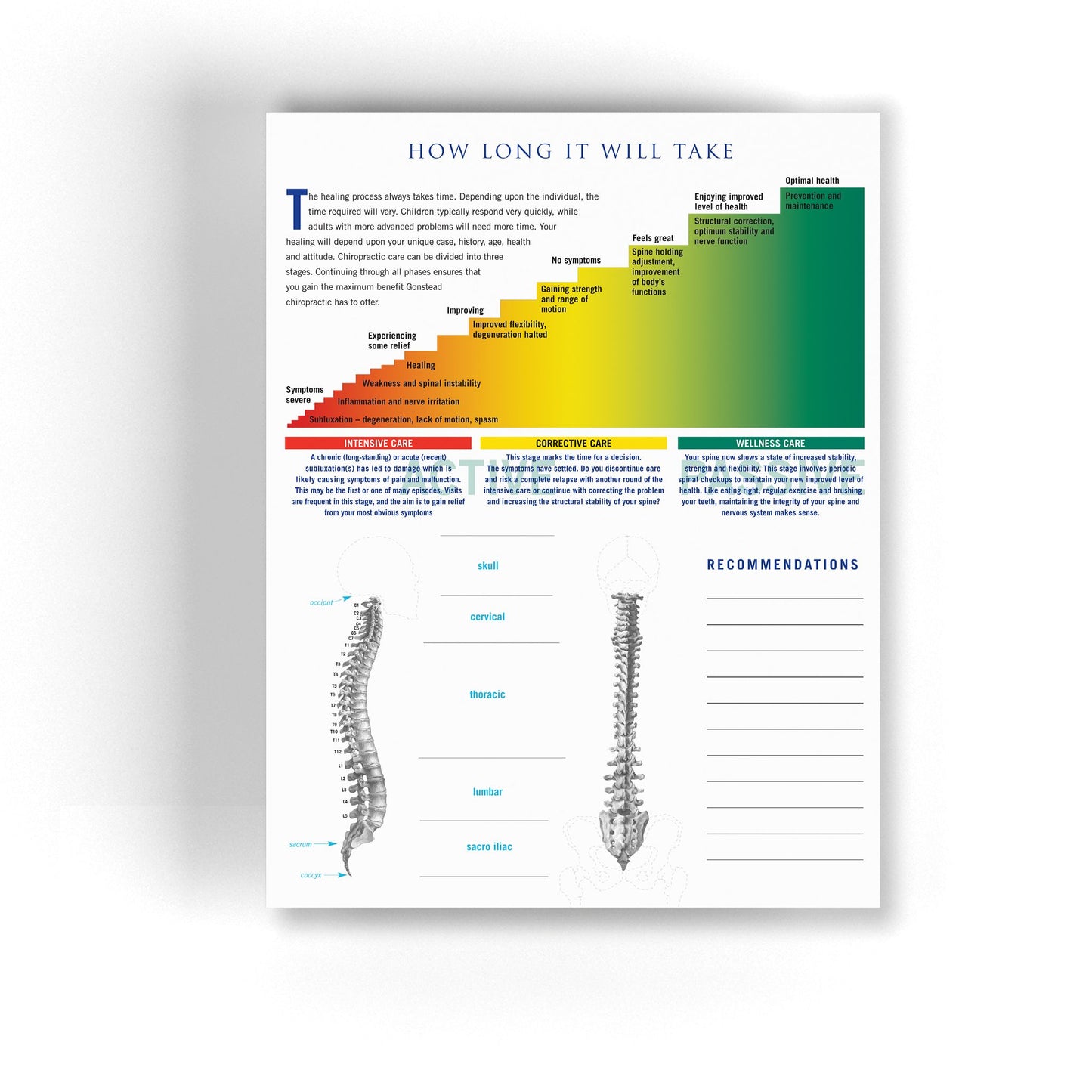 Spine and Nervous System Insert Sheet